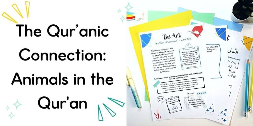 Printed Islamic Studies worksheets about the story of the ant and Prophet Sulayman for a kids quranic islamic studies curriculum